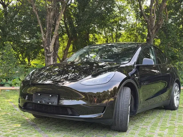 Tesla Model Y 2022 Rear-Wheel Drive Version