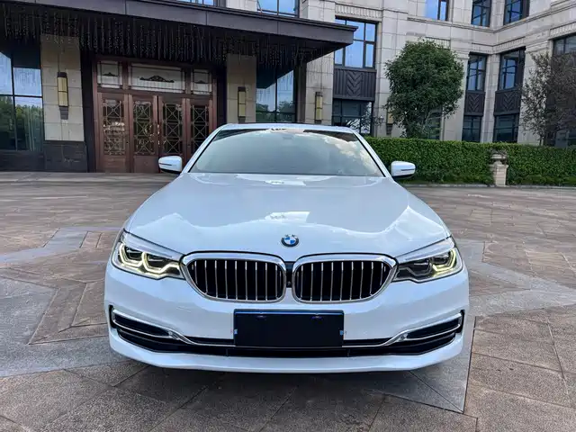 BMW 5 Series 2019 530Li Premium Luxury Package