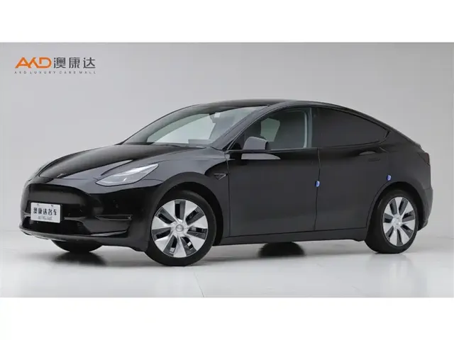 Tesla Model Y 2021 Standard Range Rear-Wheel Drive
