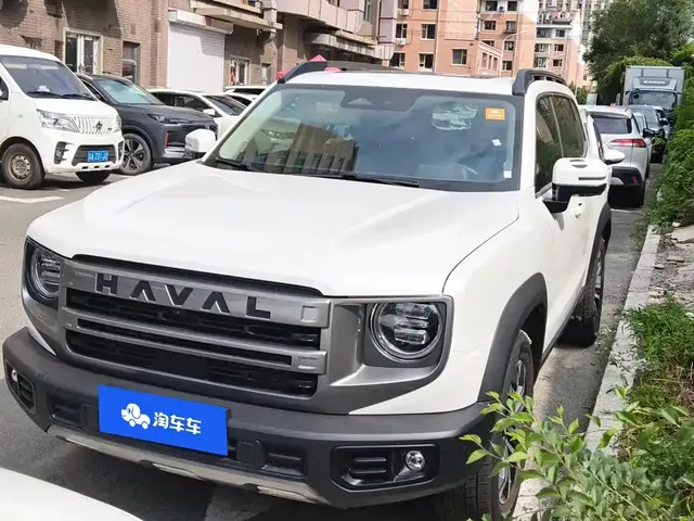 Haval Big Dog 2024 1.5T DCT Border Collie Edition