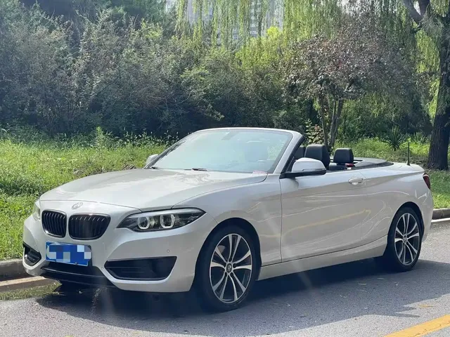 BMW 2 Series (Import) 2019 225i Convertible Coupe Sport Design Package
