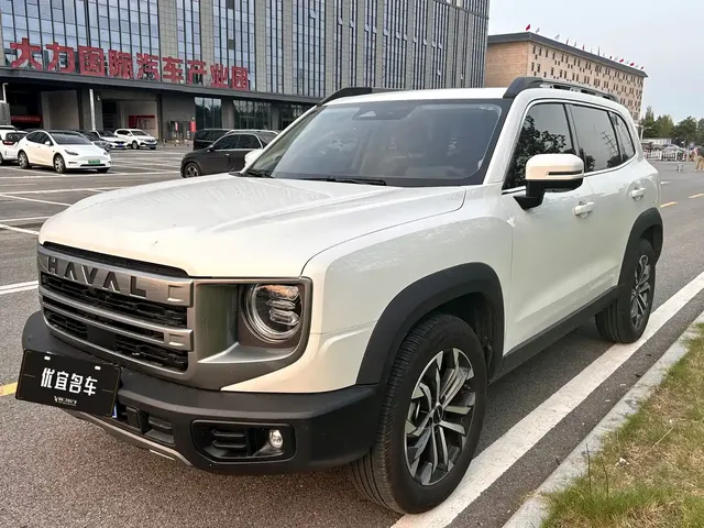 Haval Big Dog 2024 1.5T DCT Border Collie Edition