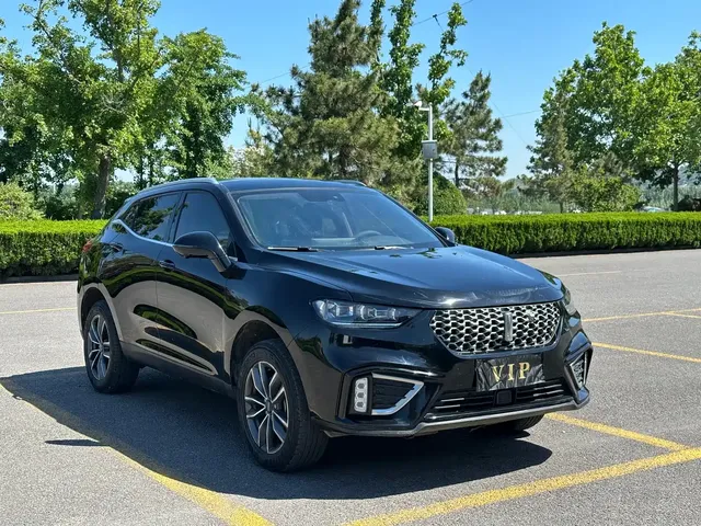 WEY VV5 2021 1.5T 2WD Trend Pioneer