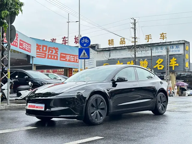 Tesla Model 3 2025 Model Rear-Wheel Drive Edition