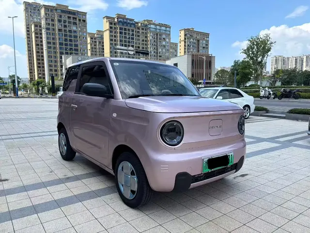Geely Galaxy Panda 2025 Model Year 210km Panda Kart