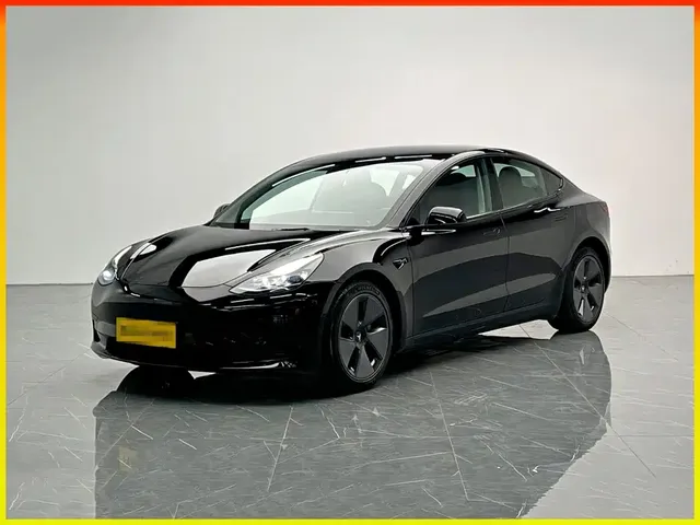 Tesla Model 3 2022 Model Rear-Wheel Drive Version