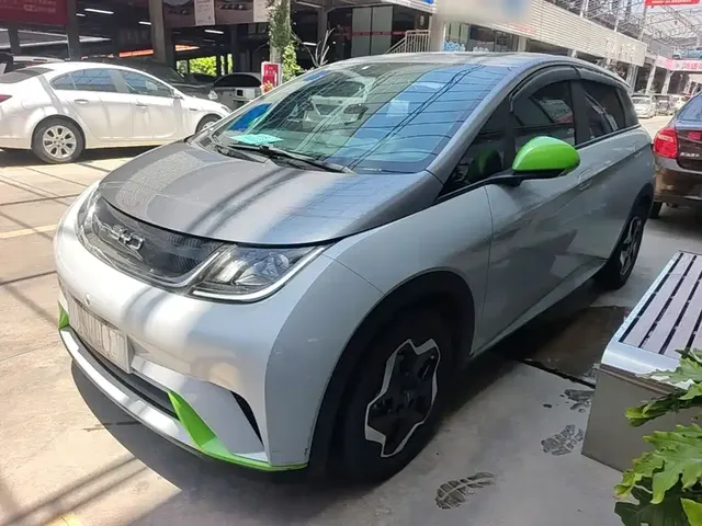 BYD Dolphin 2021 405km Freedom Edition