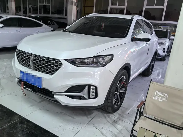 WEY VV6 2020 2.0T 2WD Smart Protection+