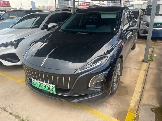 Hongqi E-QM5 2023 Facelift Basic Travel Edition