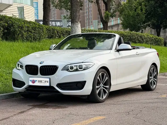 BMW 2 Series (Import) 2019 225i Convertible Coupe Sport Design Package