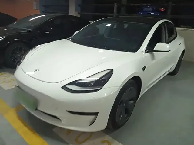 Tesla Model 3 2021 Standard Range Rear-Wheel Drive Upgrade 3D6