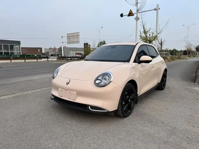Ora Good Cat 2024 401km Luxury