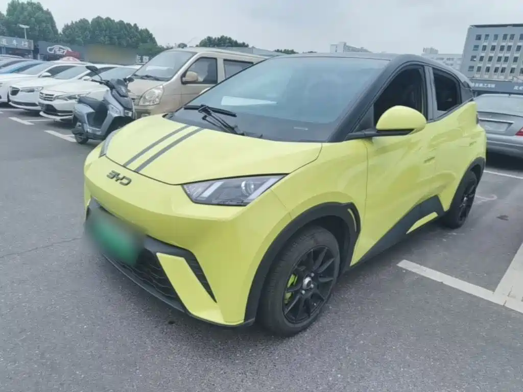 BYD Seagull 2024 Glory Edition 305km Vitality Edition