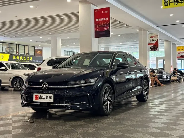 Volkswagen Magotan 2024 380TSI DSG Ultimate Edition