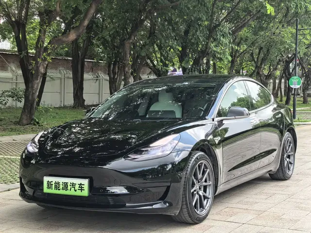 Tesla Model 3 2020 Facelift Standard Range RWD Upgrade