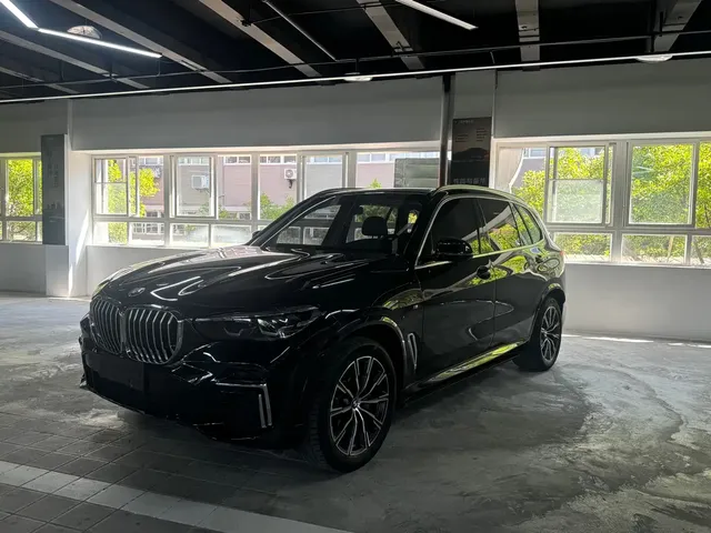 BMW X5 2022 xDrive 30Li M Sport Package