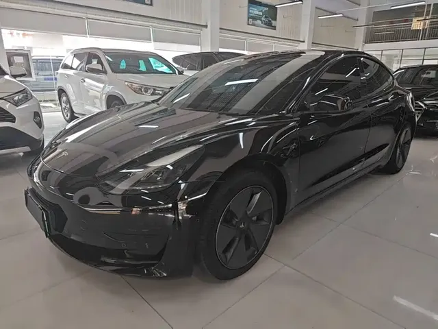Tesla Model 3 2022 Model Rear-Wheel Drive Version