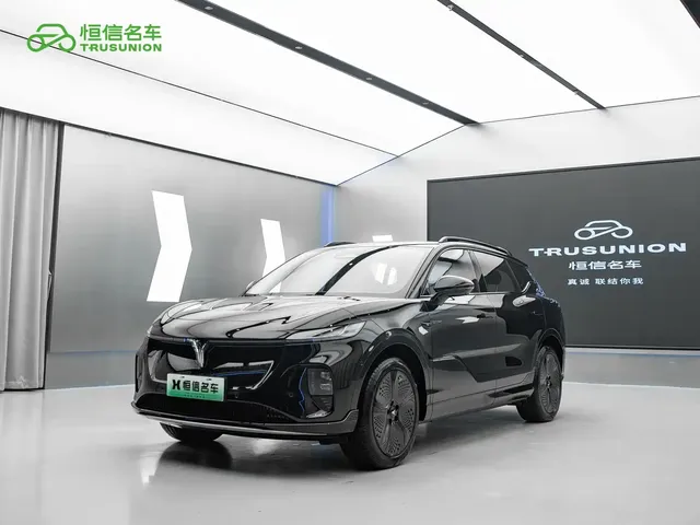Voyah Auto Voyah Zhiyin 2024 4WD Global Edition