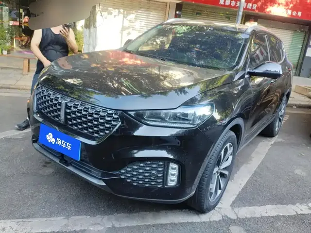 WEY VV6 2020 2.0T 2WD Smart Protection+