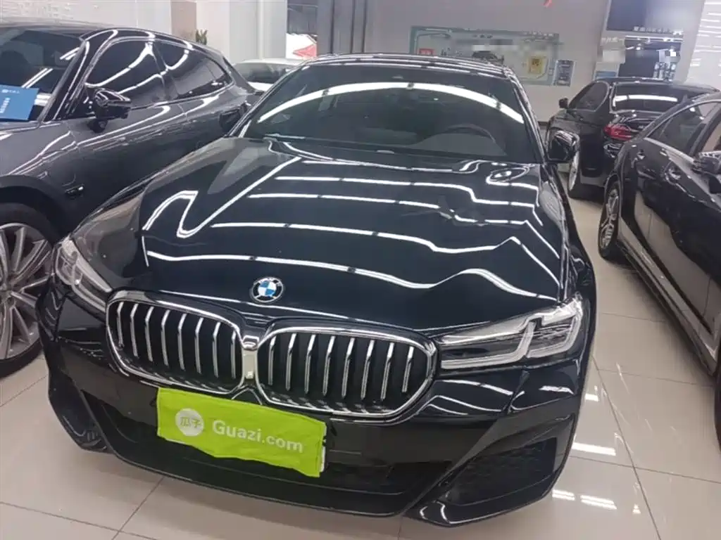 BMW 5 Series New Energy 2021 535Le M Sport Package