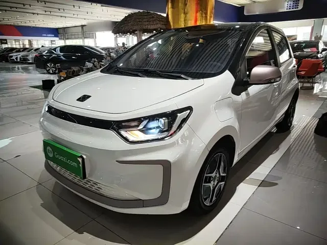 Sehol Flower Fairy 2021 302km Fashion Edition 31.4kWh