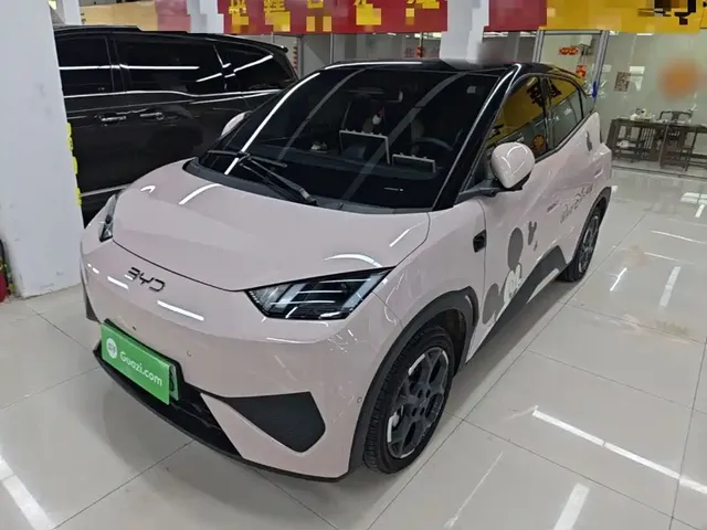 BYD Seagull 2025 Smart Drive Edition 305km Freedom Version