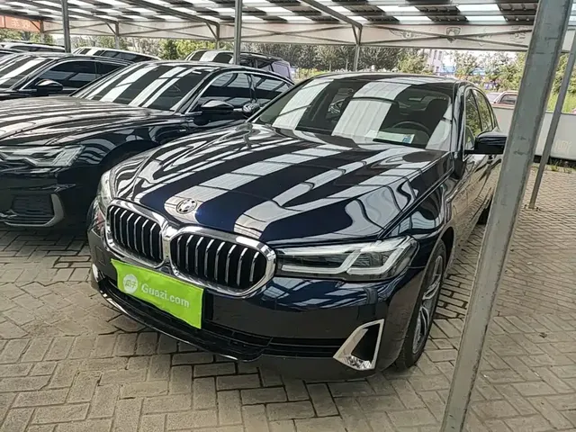 BMW 5 Series 2021 530Li Leading Luxury Package
