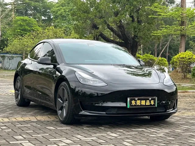 Tesla Model 3 2022 Model Rear-Wheel Drive Version