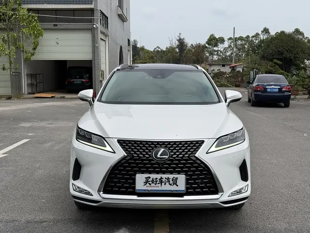 Lexus RX 2020 300 4WD Luxury Edition China VI