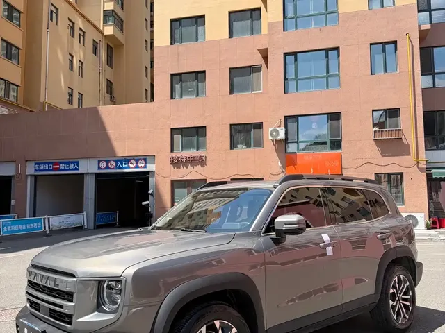 Haval Big Dog 2024 1.5T DCT Border Collie Edition