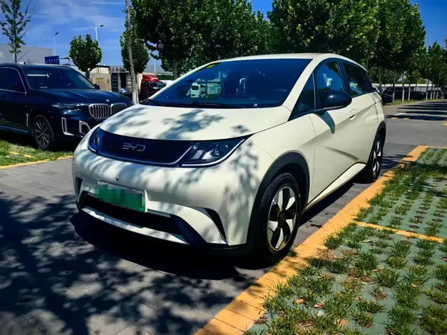 BYD Dolphin 2025 420km Freedom Edition