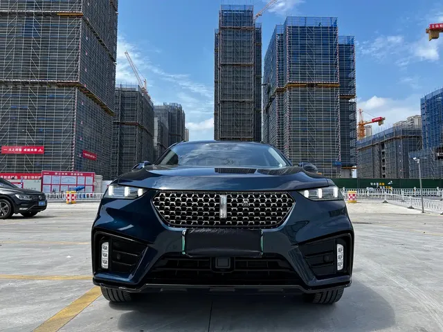WEY VV7 New Energy 2020 PHEV 2.0T Flagship Model