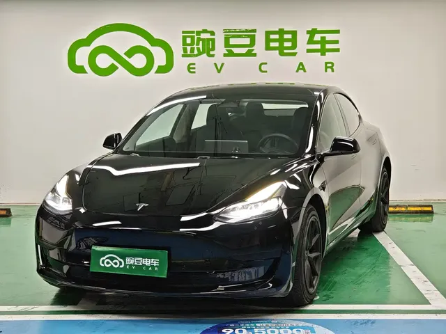 Tesla Model 3 2022 Model Rear-Wheel Drive Version
