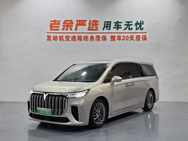 Voyah Auto Voyah Dreamer 2022 Low-carbon Dream+Smart Package
