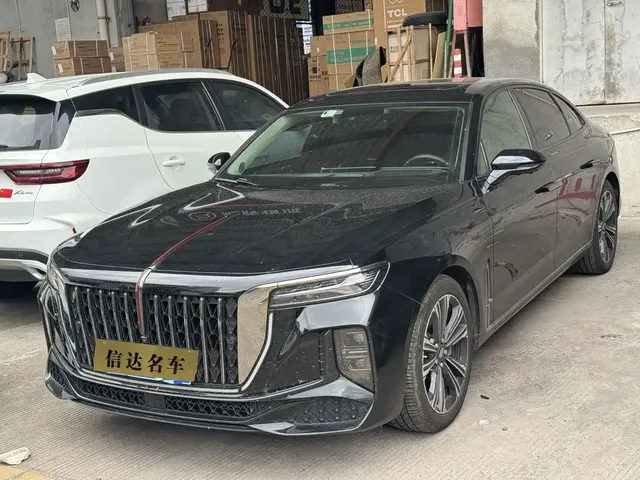 Hongqi H9 2024 2.0T Qi Enjoy Private Fashion Edition