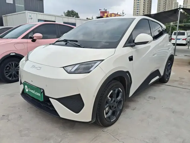 BYD Seagull 2025 Smart Drive Edition 305km Freedom Version