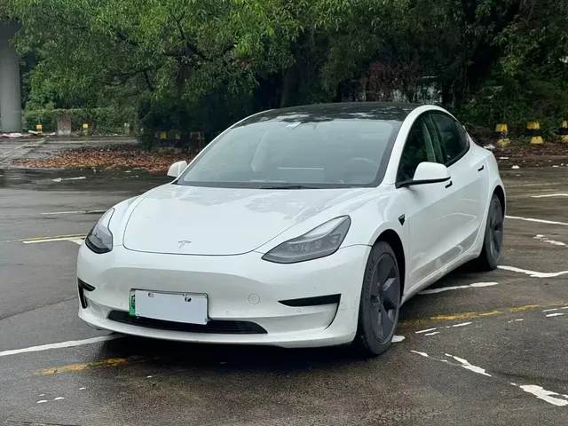 Tesla Model 3 2021 Standard Range Rear-Wheel Drive Upgrade 3D6