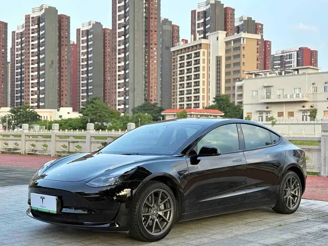 Tesla Model 3 2022 Model Rear-Wheel Drive Version