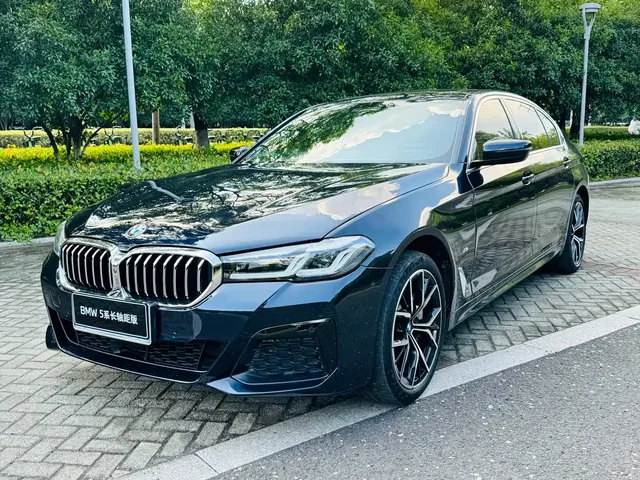BMW 5 Series 2021 530Li Executive M Sport Package