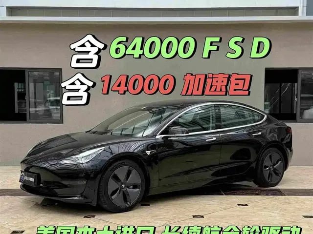 Tesla Model 3 (Import) 2019 Long Range All-Wheel Drive Edition