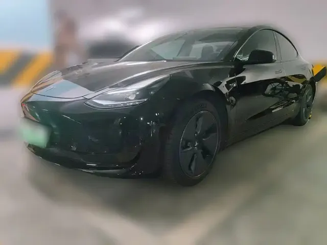 Tesla Model 3 2022 Model Rear-Wheel Drive Version