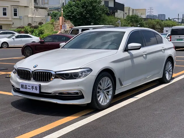 BMW 5 Series 2019 530Li Leading Luxury Package