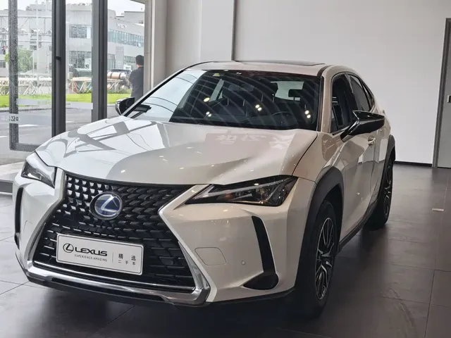 Lexus UX 2019 260h Explorer Fun Edition (China V)