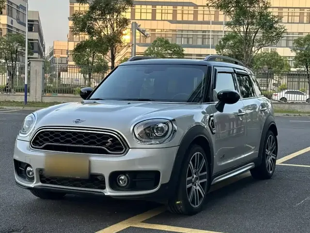 MINI COUNTRYMAN 2019 2.0T COOPER S ALL4 Artist