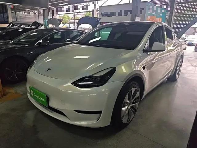 Tesla Model Y 2022 Rear-Wheel Drive Version