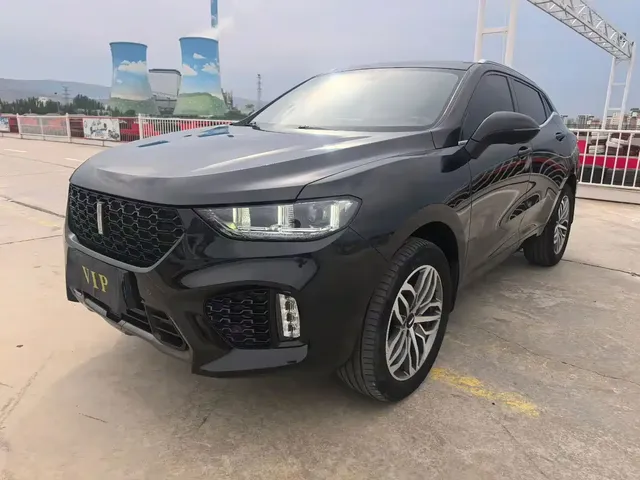 WEY VV5 2019 Upgrade 2.0T 2WD Ultra Luxury China V