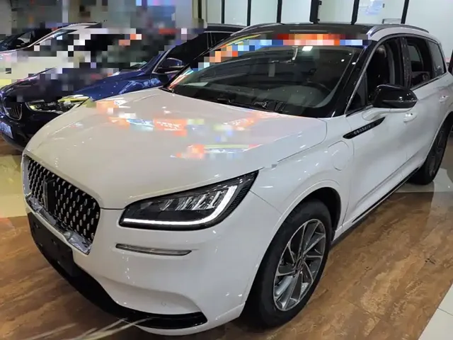 Lincoln Adventurer NEV 2021 PHEV 4WD e-Enjoy Edition