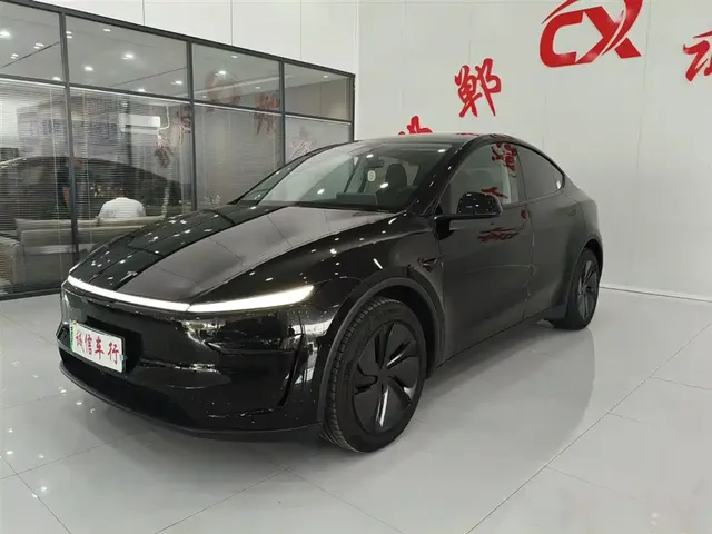 Tesla Model Y 2025 Long Range All-Wheel Drive