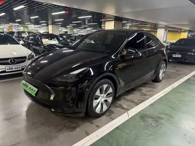 Tesla Model Y 2022 Rear-Wheel Drive Version