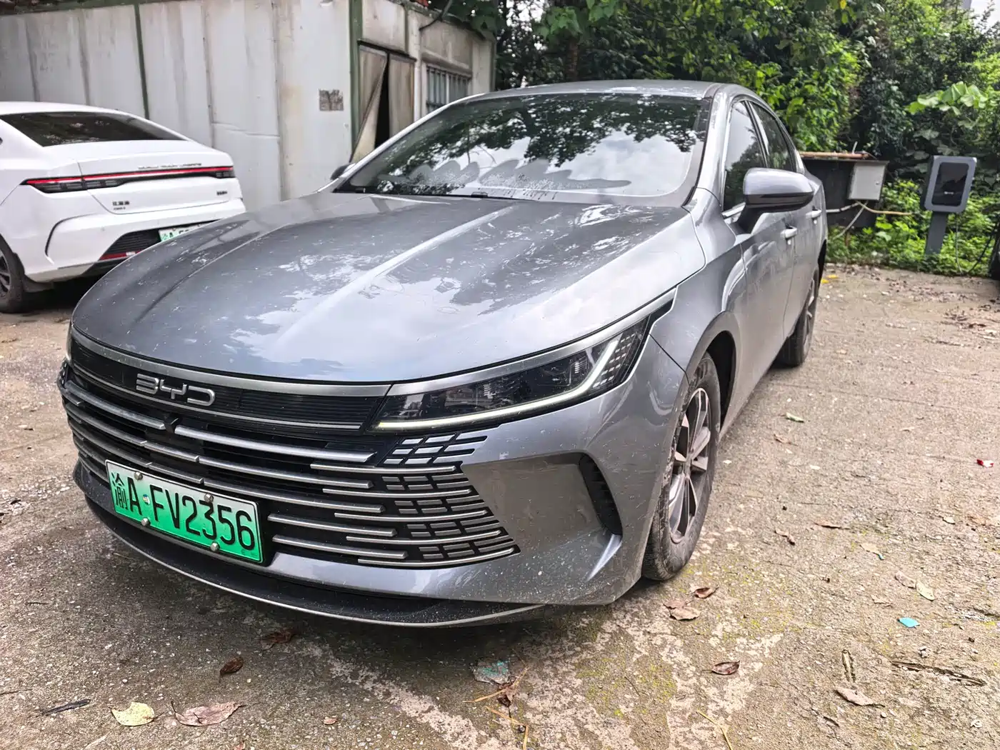 BYD Destroyer 05 2024 Glory Edition DM-i 55KM Luxury